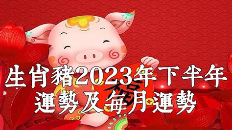 2022屬豬每月運勢|【李雲天】塔羅牌2022年生肖豬運勢